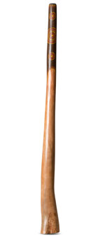 Jesse Lethbridge Didgeridoo (JL155)
